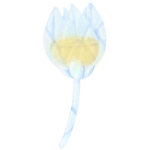 <a href="https://www.aginikumorealm.co/world/items?name=Honey-filled Glass Tulip" class="display-item">Honey-filled Glass Tulip</a>